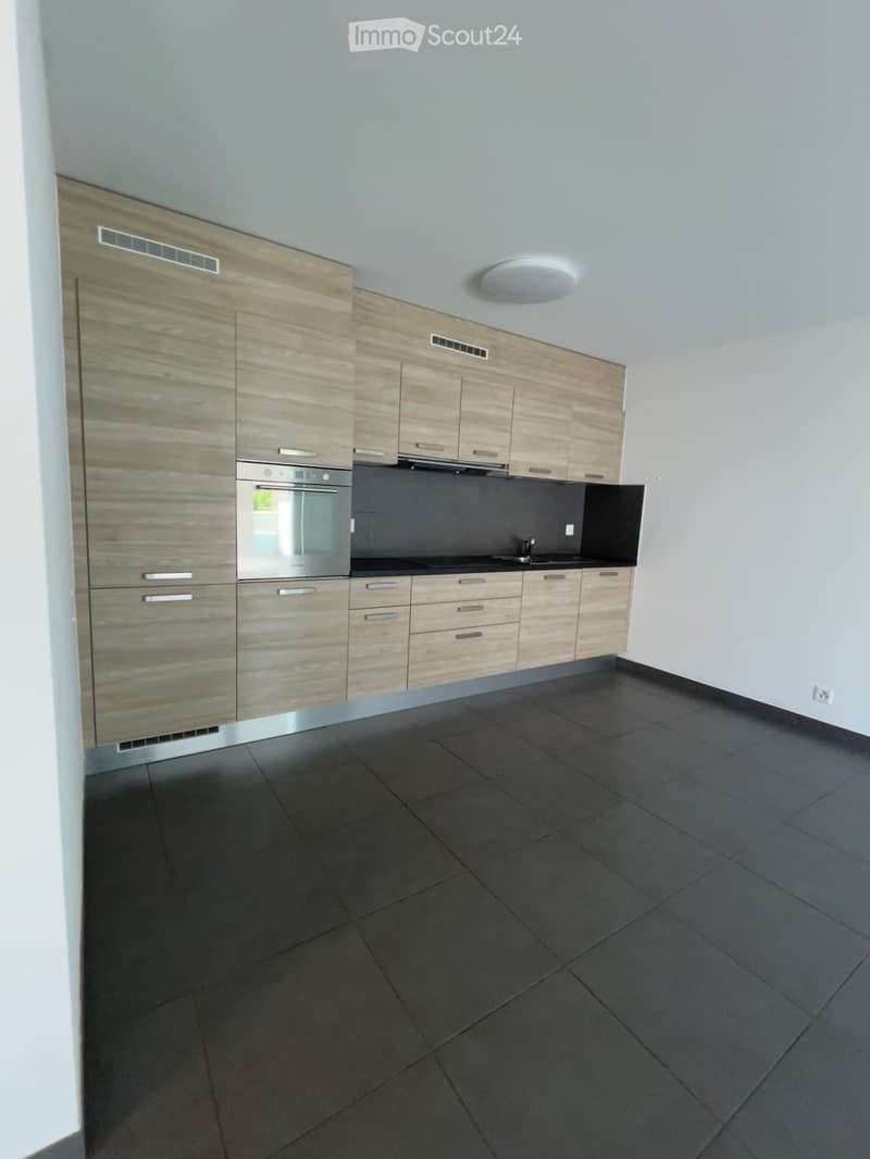 2.5 pièces avec grande terrasse (11)