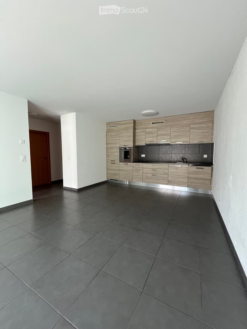 2.5 pièces avec grande terrasse (5)