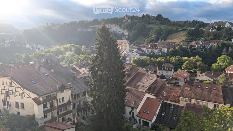 Magnifique appartement de 4,5 pièces, vue sur la Basse-Ville (5)