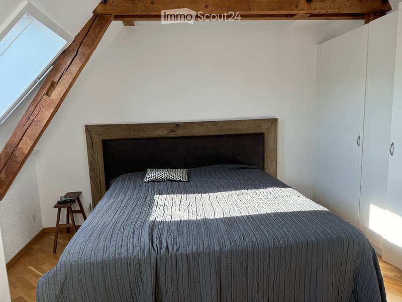 Moderne 2,5-Zimmer-Dachgeschosswohnung in Zürich-Wiedikon (4)