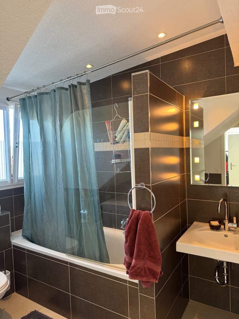 Moderne 2,5-Zimmer-Dachgeschosswohnung in Zürich-Wiedikon (5)