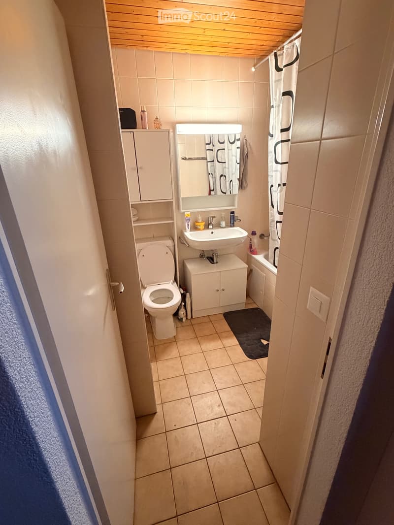 Appartement 1.5 pièce (1)