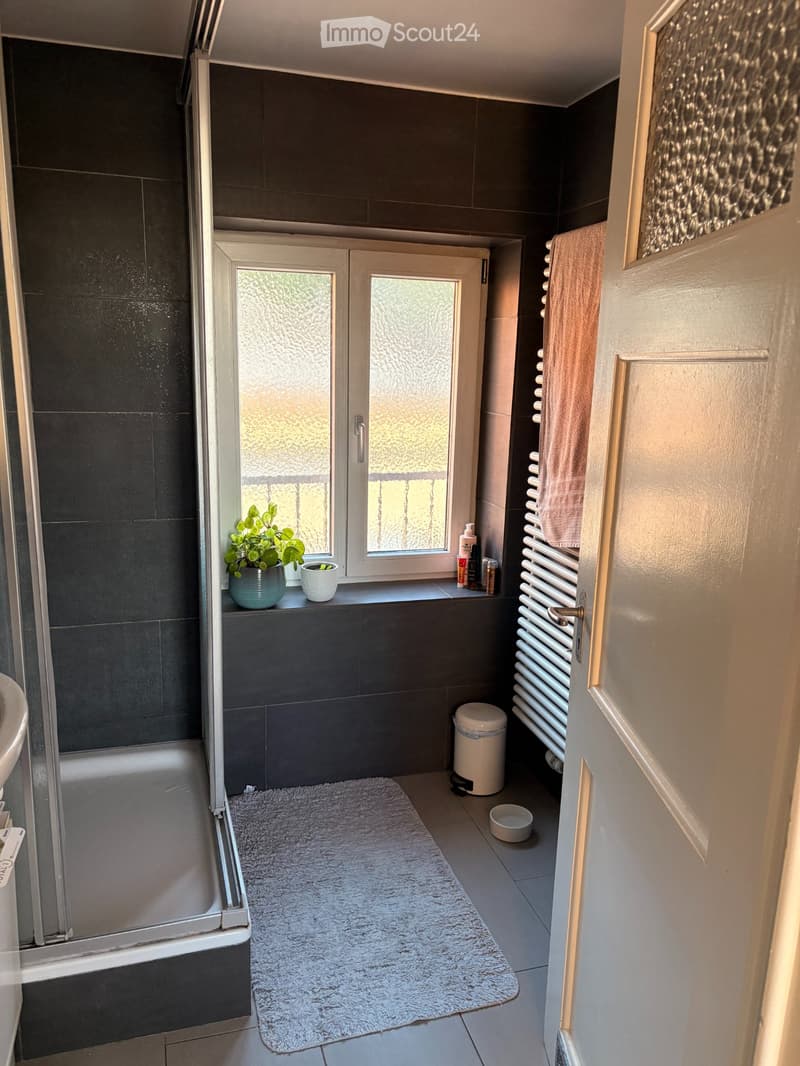 Magnifique appartement à louer (4)