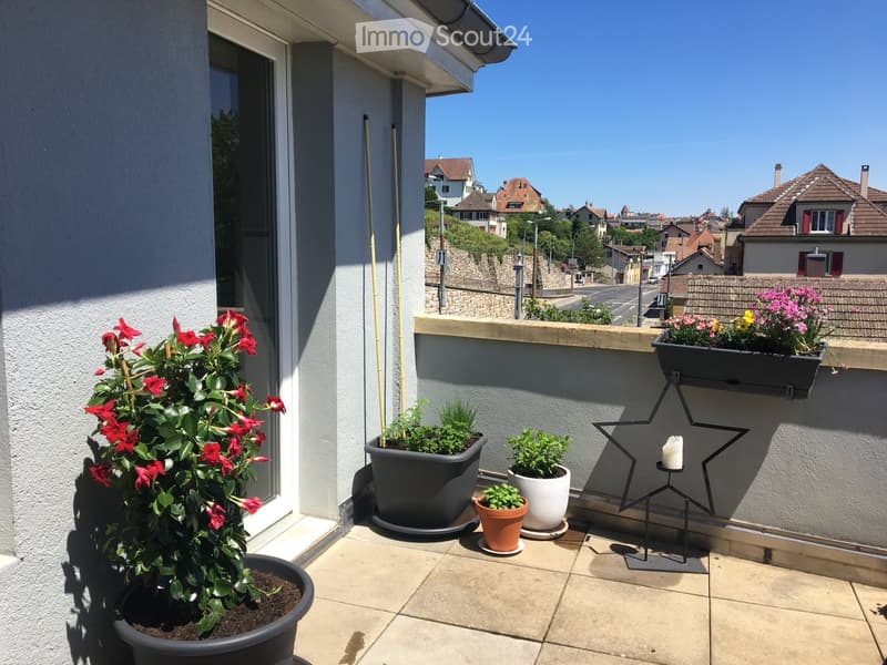 Magnifique appartement à louer (5)