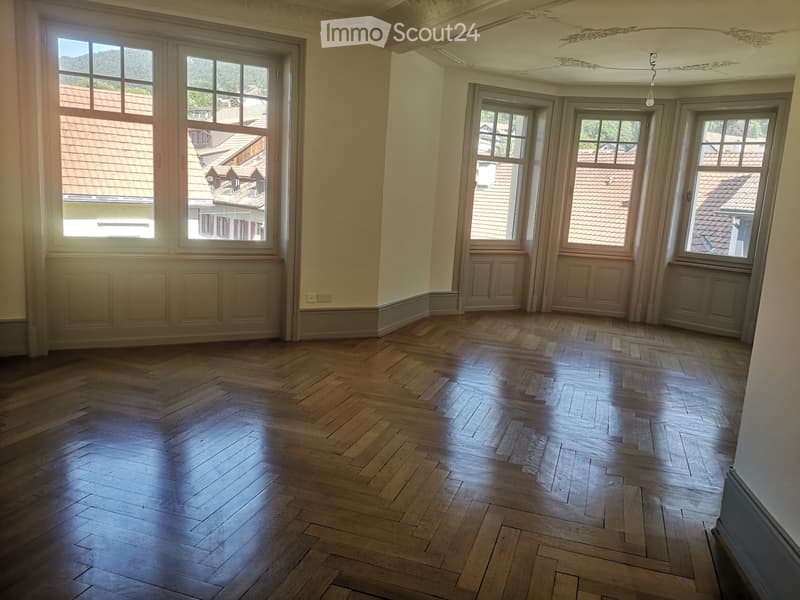Grosszügige Wohnung mit Charme im Stadtzentrum (2)