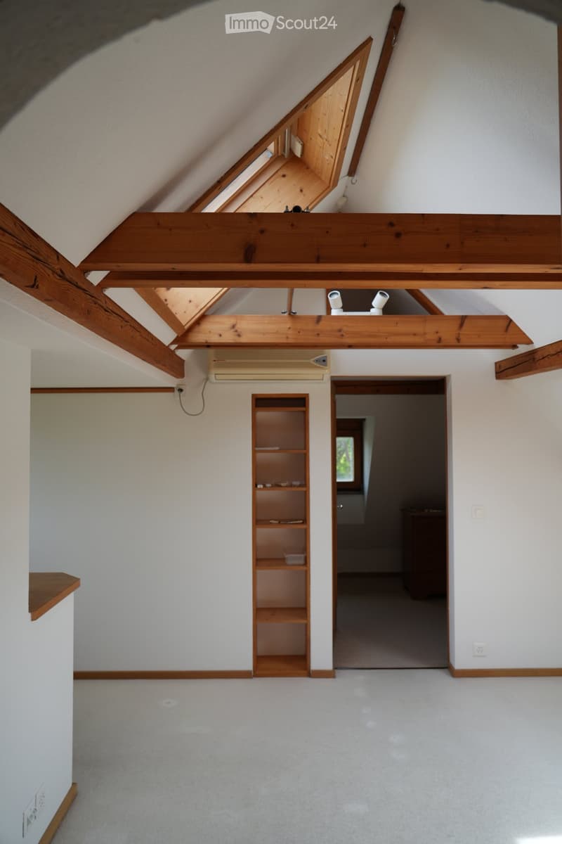 5½-Zimmer-Einfamilienhaus komplett renoviert (3)