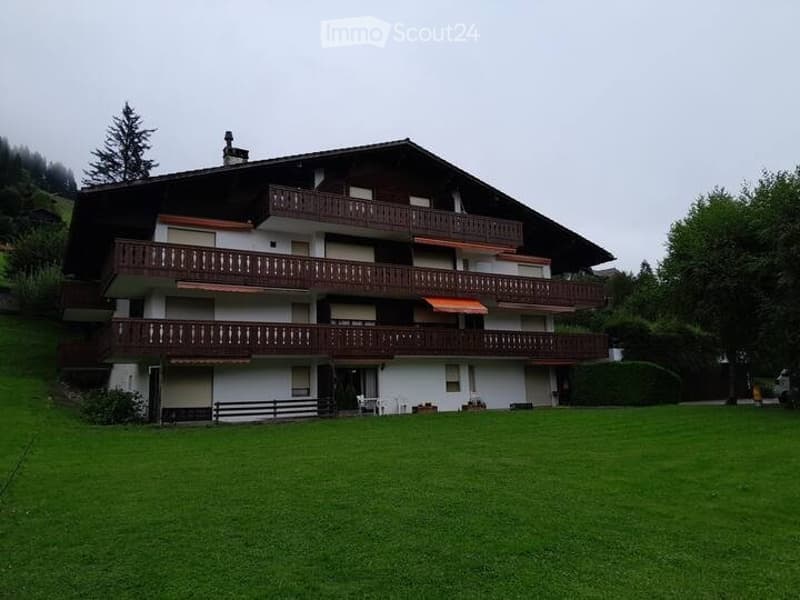 Appartement meublé de 2,5 pièces à louer (1)