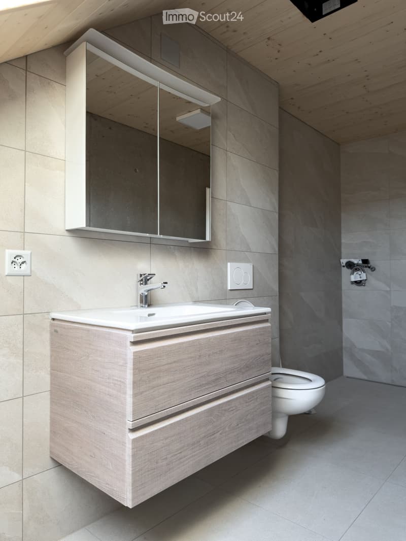 Appartement de 4.5 pièces à louer de suite (5)