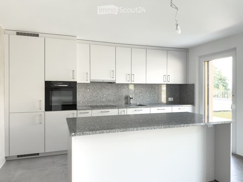 Appartement de 4.5 pièces à louer de suite (4)