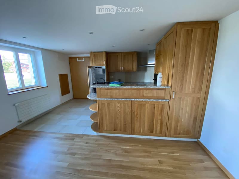 Appartement 3,5 à Grangettes (2)