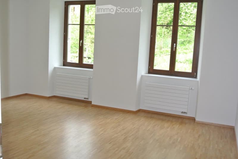 Charmant appartement 5.5 pièces (4)
