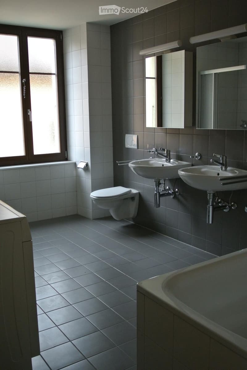 Charmant appartement 5.5 pièces (2)