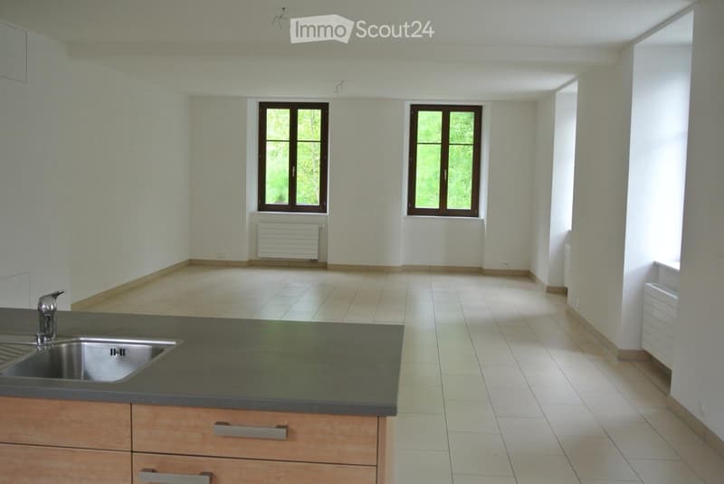 Charmant appartement 5.5 pièces (1)