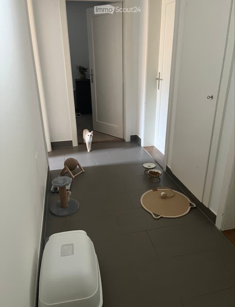 Chambre libre dans un charmant 3 pièces rénové à Bevaix (5)