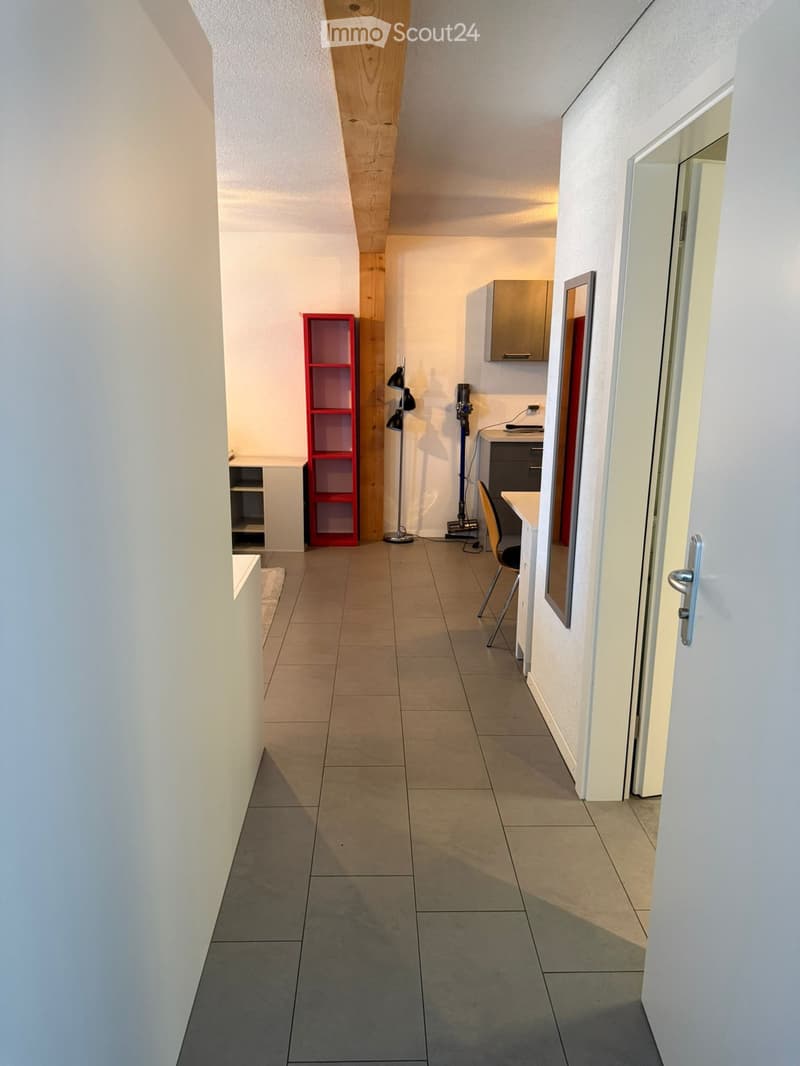 Studio meublé 1,5 pièce de 40 m² à Cudrefin (1)