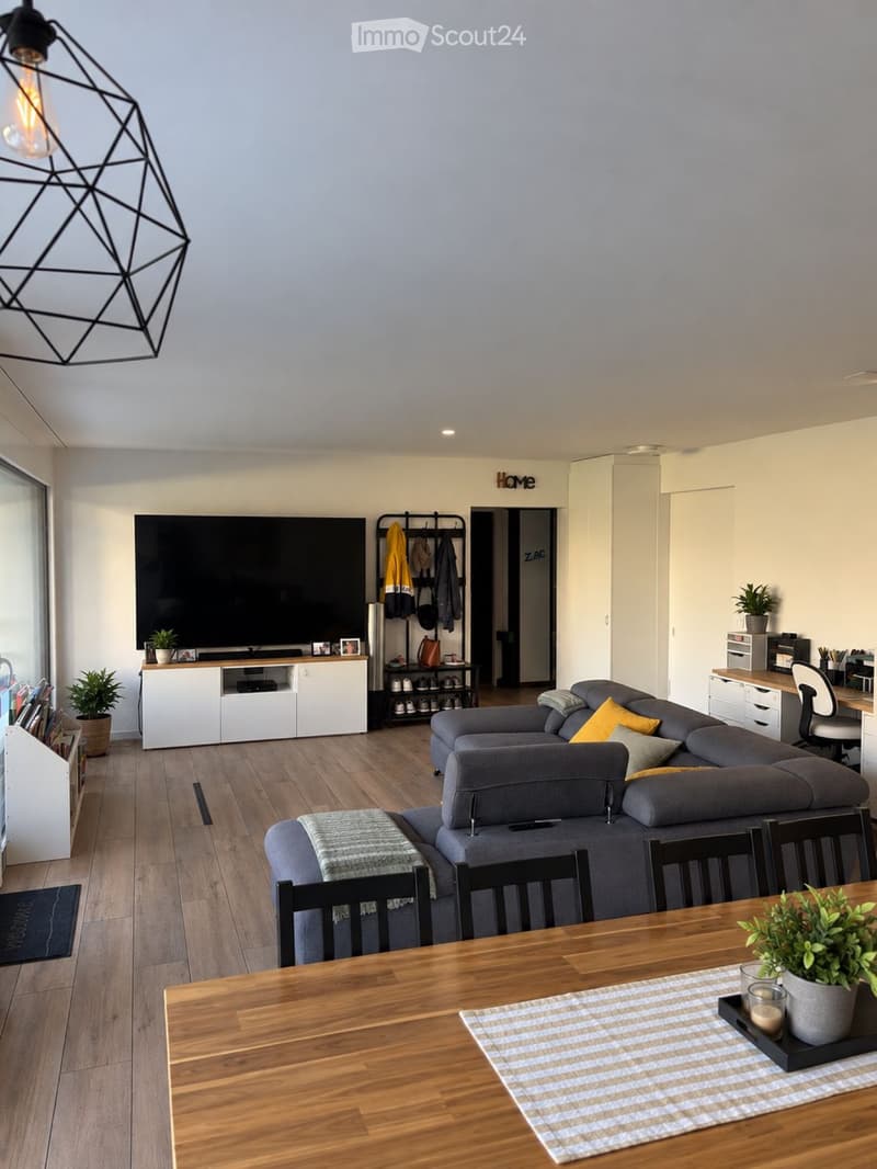 Superbe 3,5 pièces récent 85 m² + terrasse de 45 m² (3)