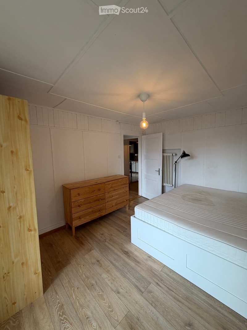 Alpine Apartment with a view (4)