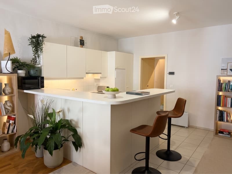 Sous-location appartement quartier de Rive Nyon (3)