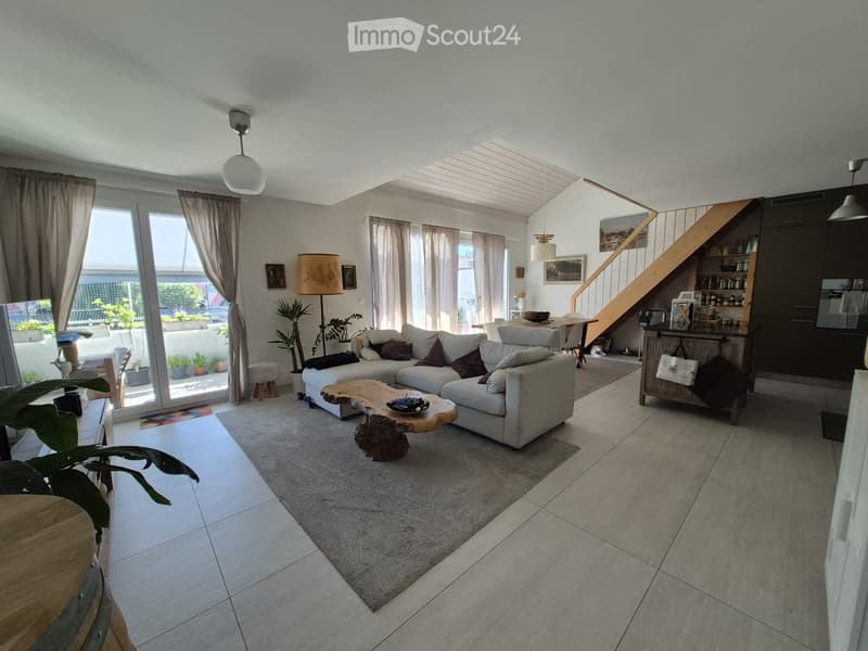 Superbe duplex lumineux (1)