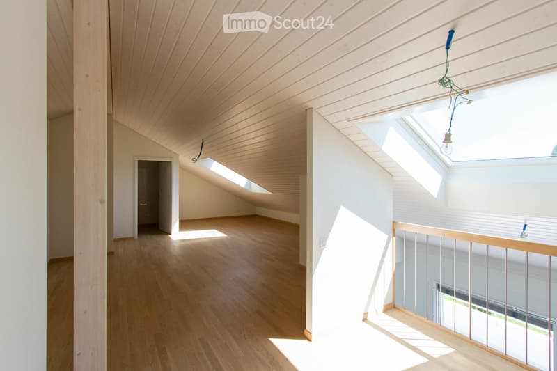 Superbe duplex lumineux (2)