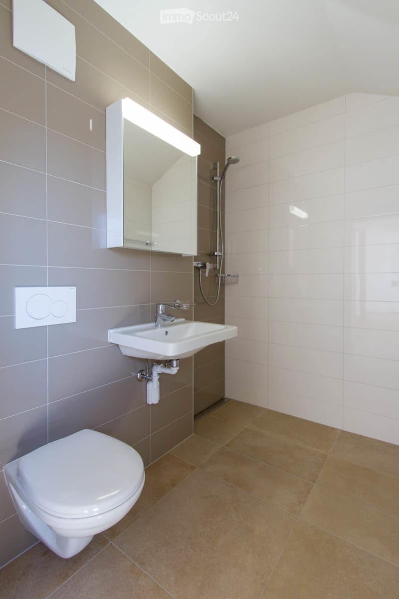 Superbe duplex lumineux (3)