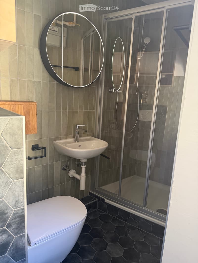 Appartement en vieille ville de Sion (5)