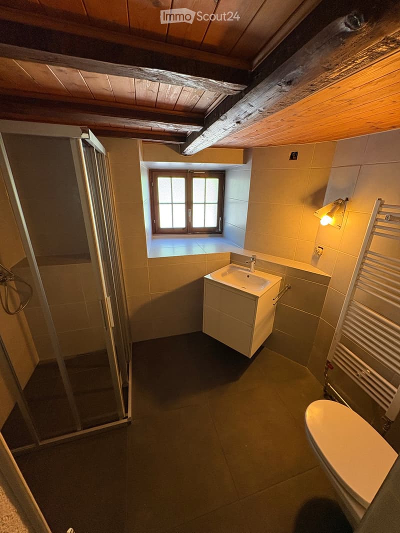 Magnifique appartement en duplex de 4,5 pièces (4)