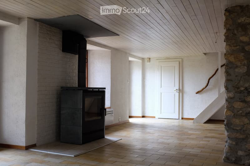 Magnifique appartement en duplex de 4,5 pièces (2)