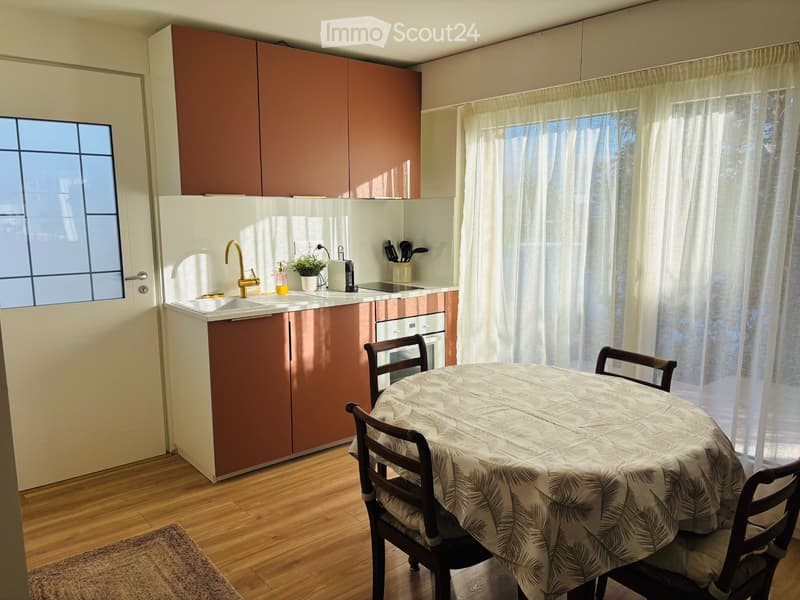 Loue appartement rénové aux portes de Genève (Sauverny, FR) (3)