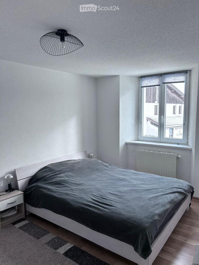 JOLI APPARTEMENT DE 3 PIÈCES AUX BREULEUX (3)