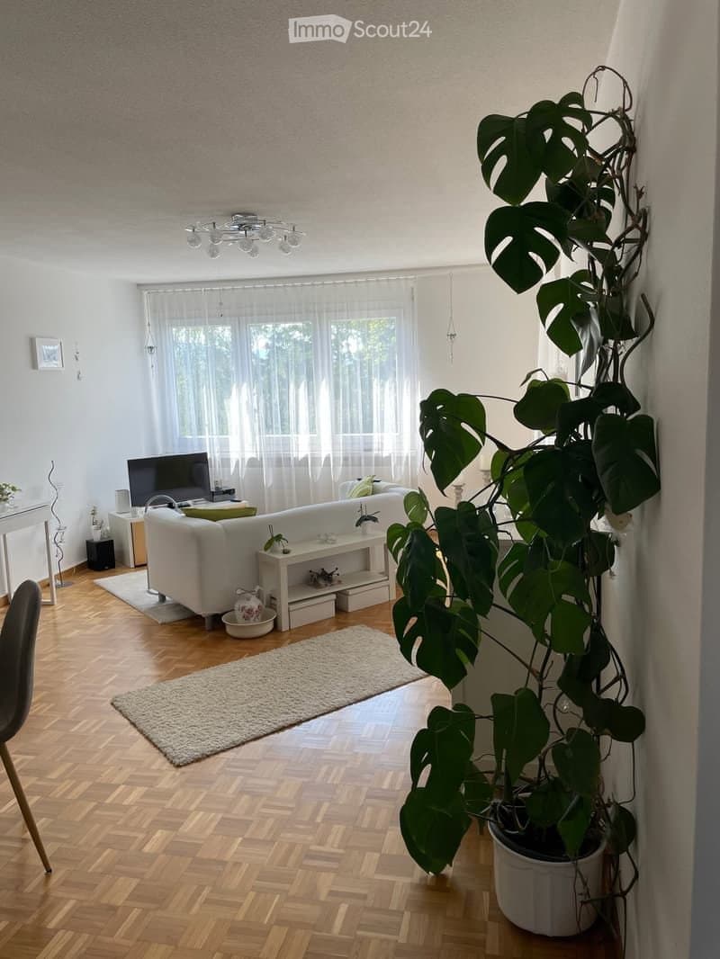 Charmante 2,5-Zimmer-Wohnung in Winterthur verfügbar (4)