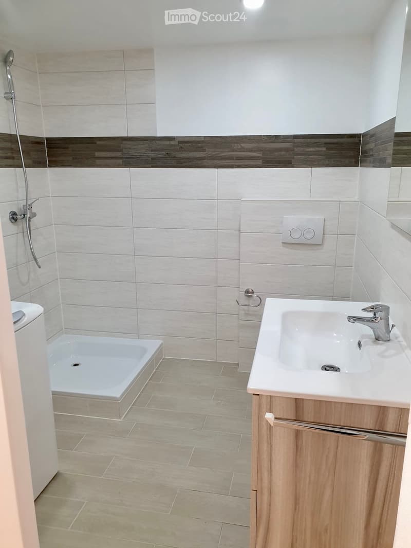 Bel appartement 1,5 pièce (5)