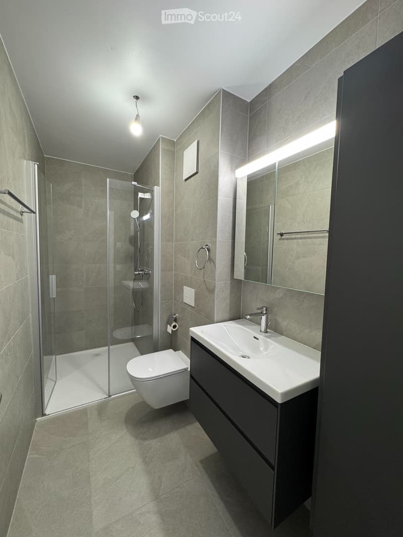 À louer Appartement neuf de 3.5 pièces en attique (4)