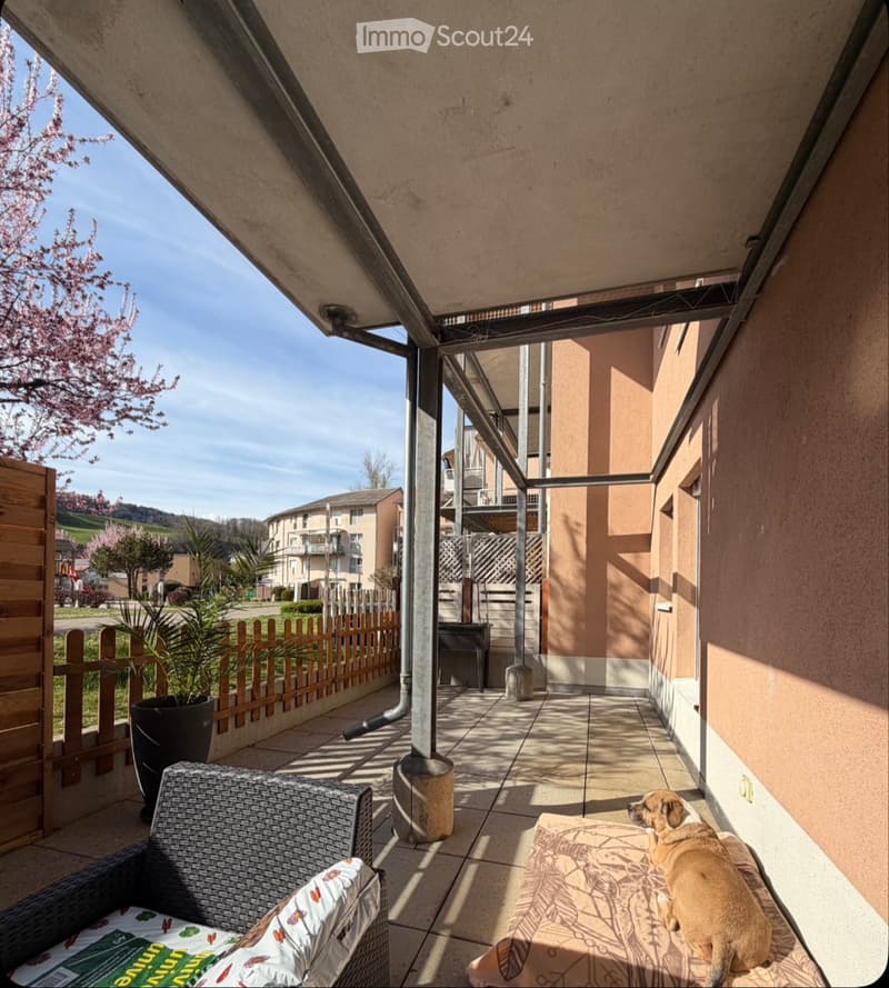 Reprise de bail 2,5 pièces avec grande terrasse + parking (2)