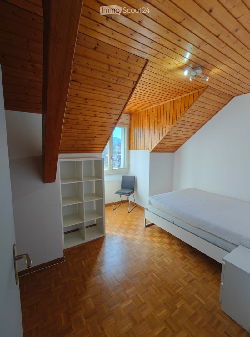 Belle chambre à louer / Beautiful room in Carouge (1)
