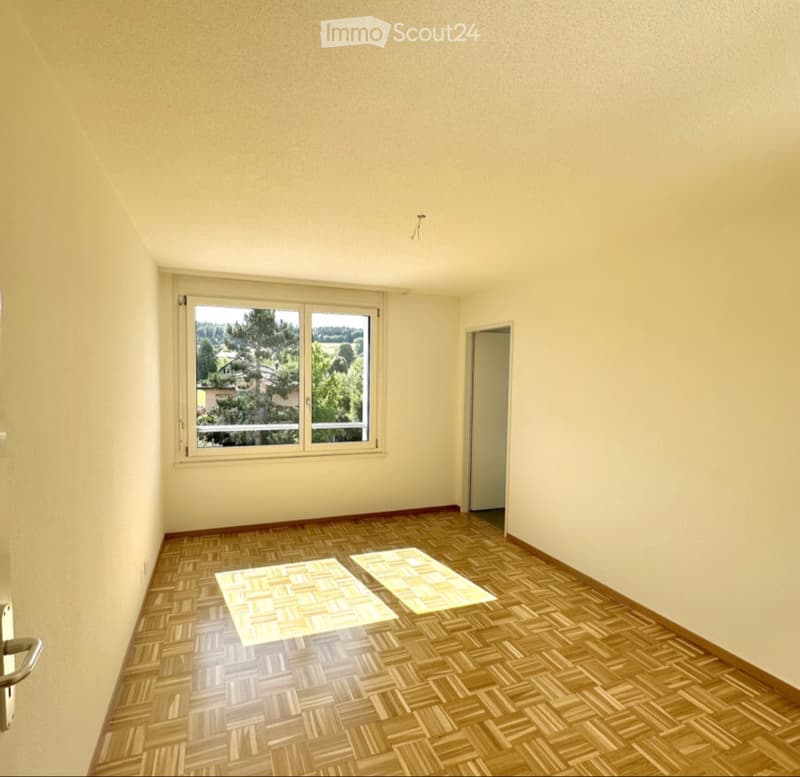 MAGNIFIQUE DUPLEX 4,5 PIÈCES (4)