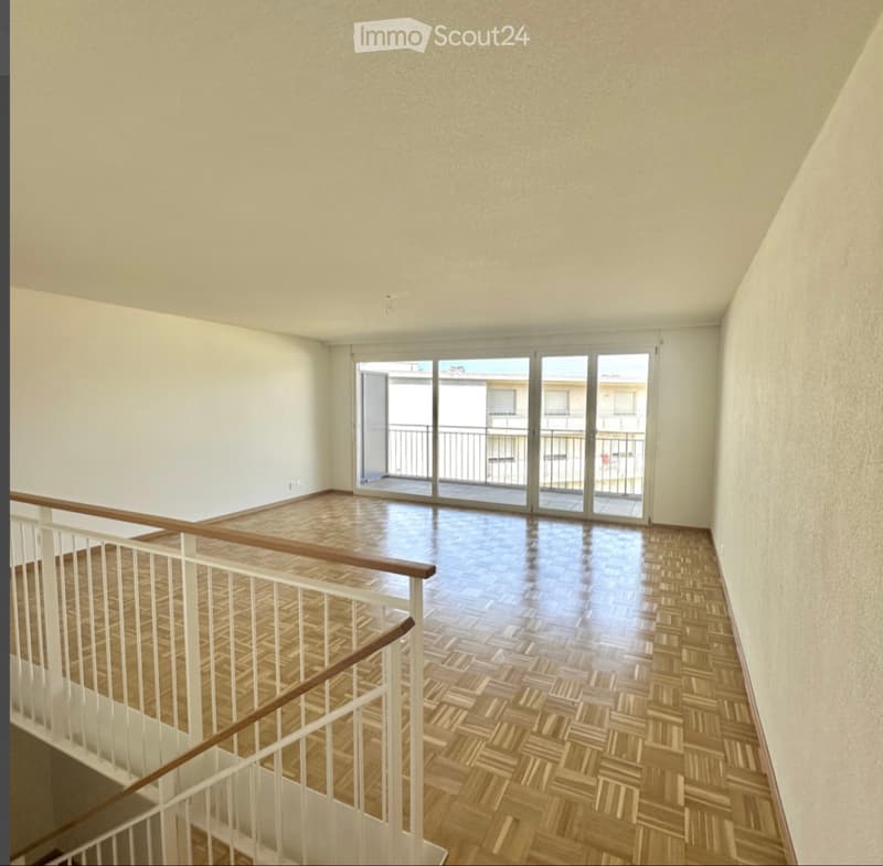 MAGNIFIQUE DUPLEX 4,5 PIÈCES (3)
