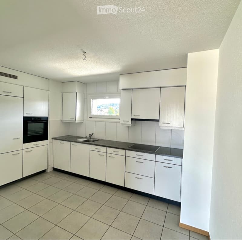 MAGNIFIQUE DUPLEX 4,5 PIÈCES (2)