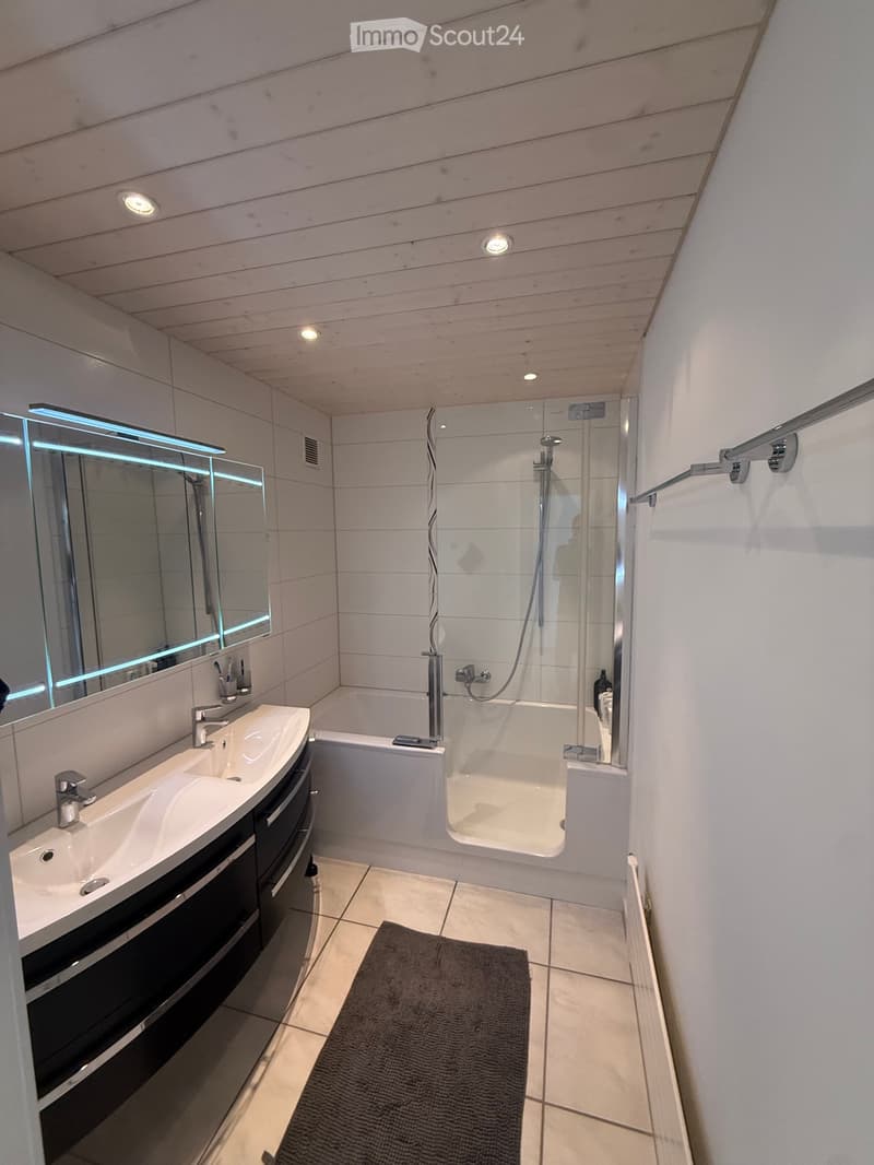 Grand appartement - sous location (3)