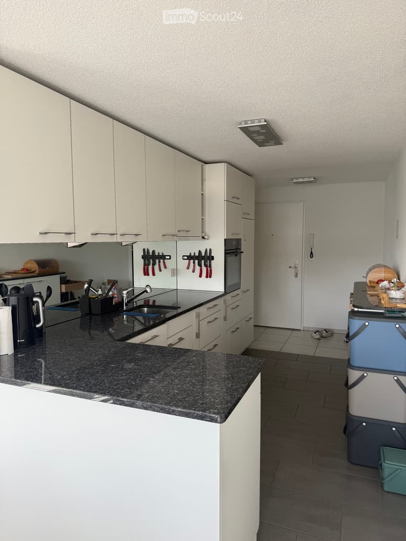 Grand appartement - sous location (2)