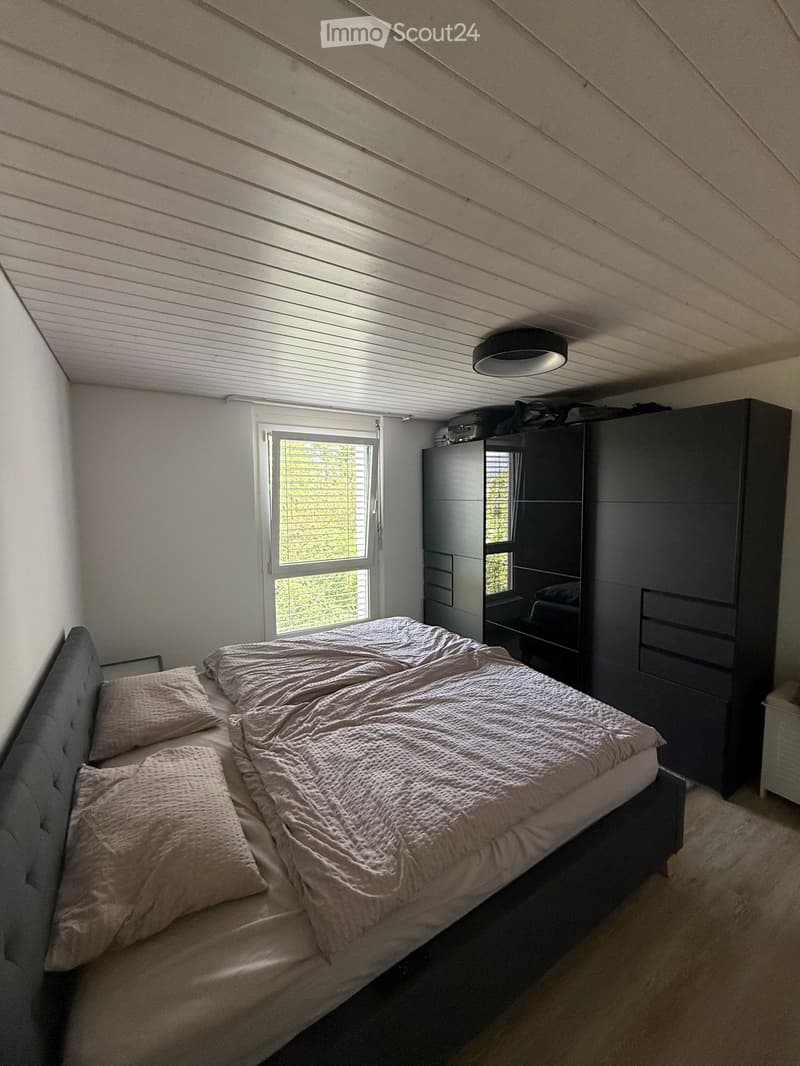 Grand appartement - sous location (5)