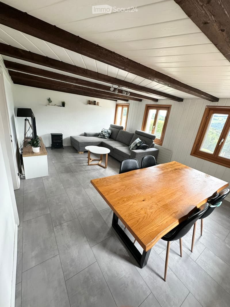 Appartement de 51/2 pièces à louer dès 1.1.2027 (1)