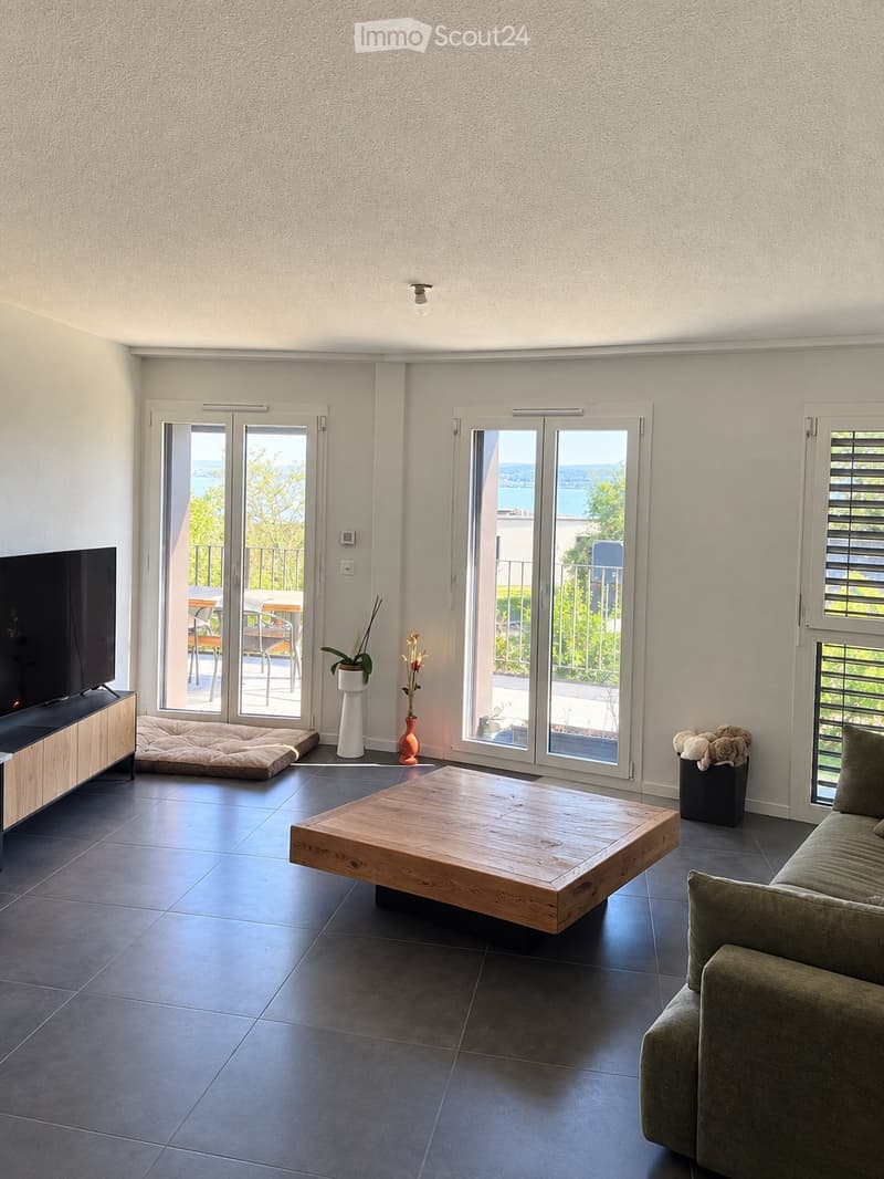 Charmant appartement avec vue sur le lac (1)