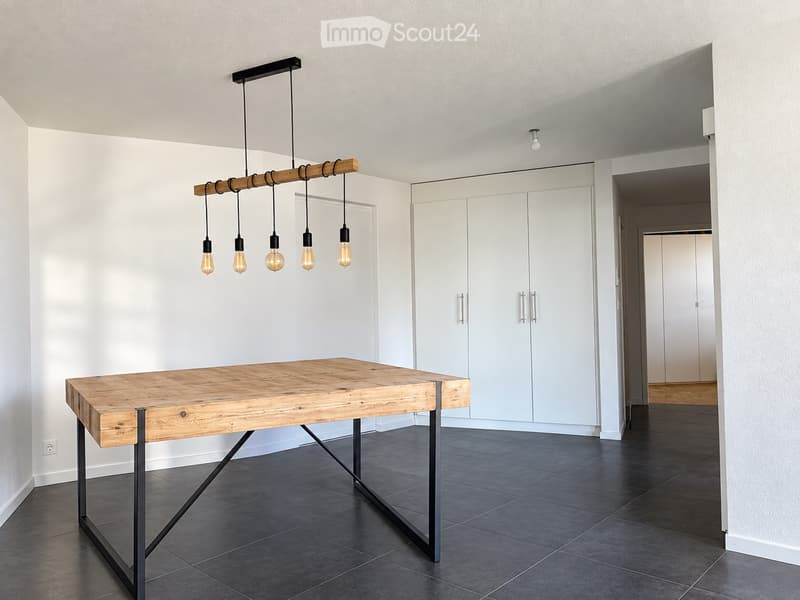 Charmant appartement avec vue sur le lac (3)