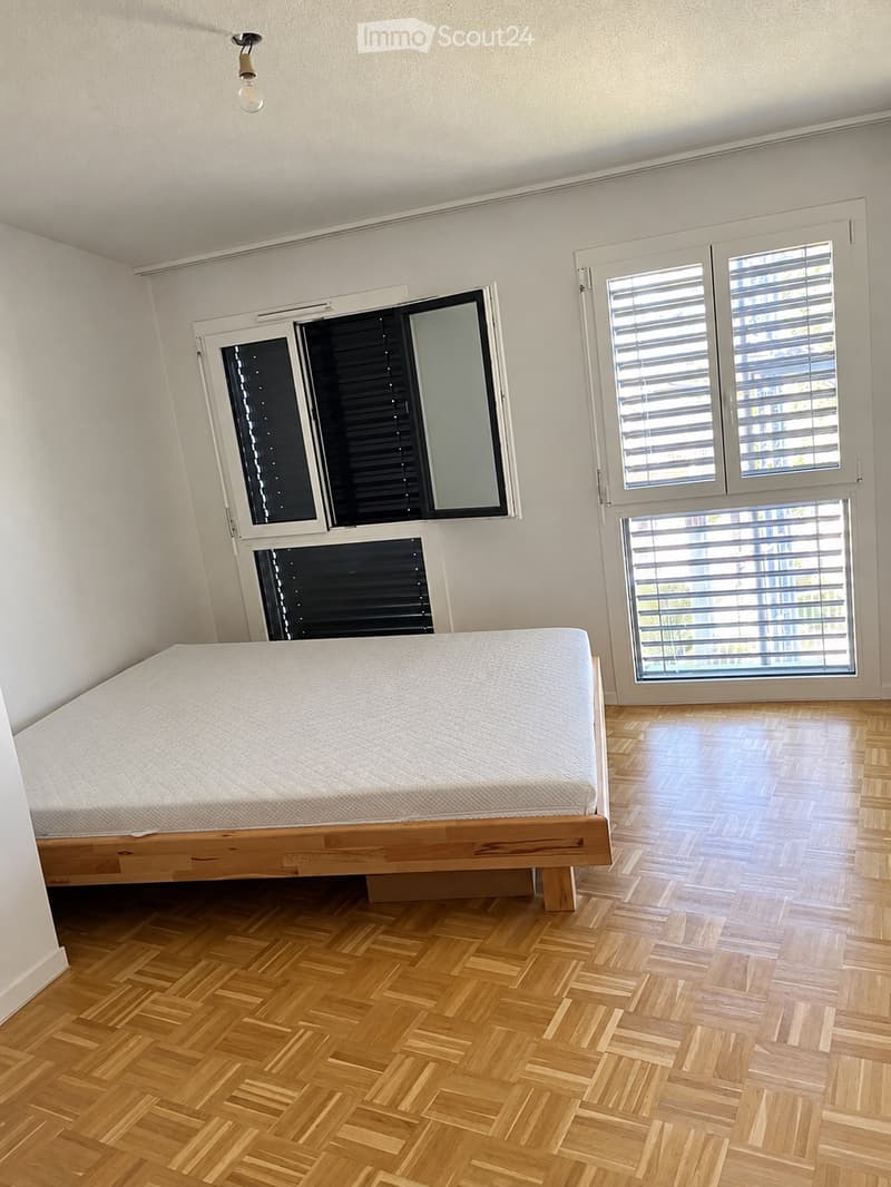 Charmant appartement avec vue sur le lac (5)