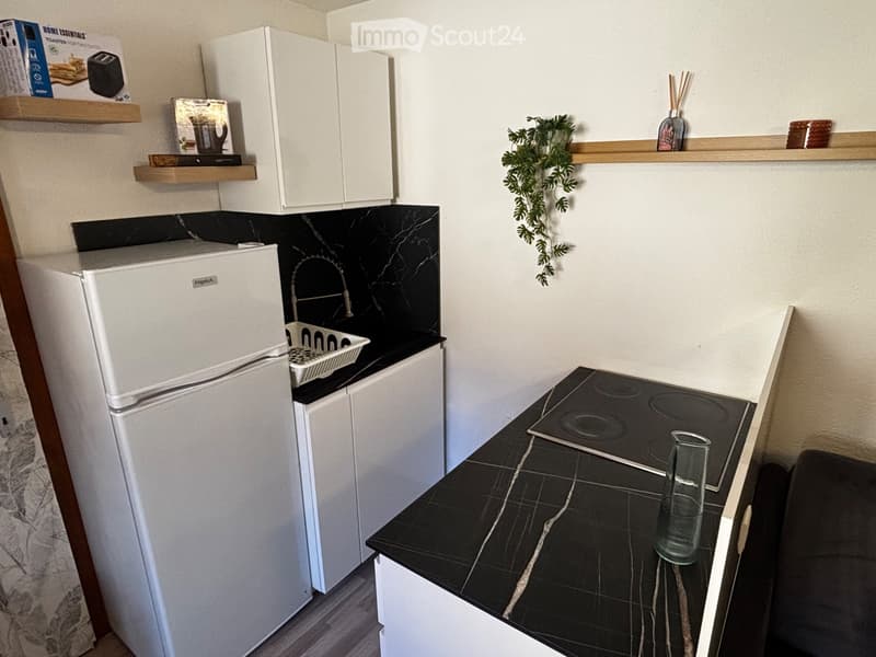 Studio meublé 1.5P ou logement Etudiant (4)
