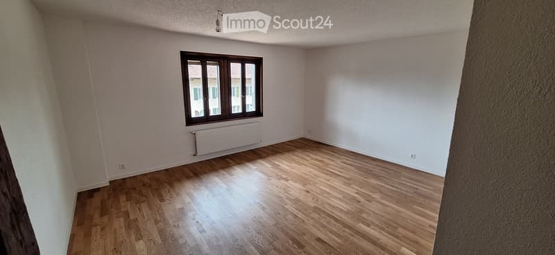 Appartement rénové dans ancienne ferme, 173 m², grand jardin (4)