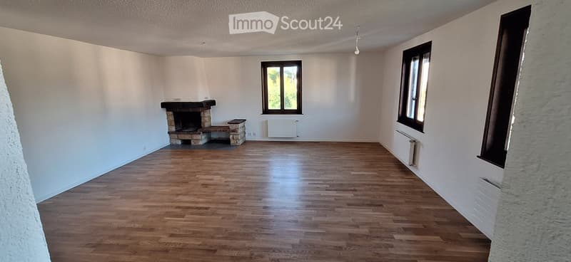 Appartement rénové dans ancienne ferme, 173 m², grand jardin (2)