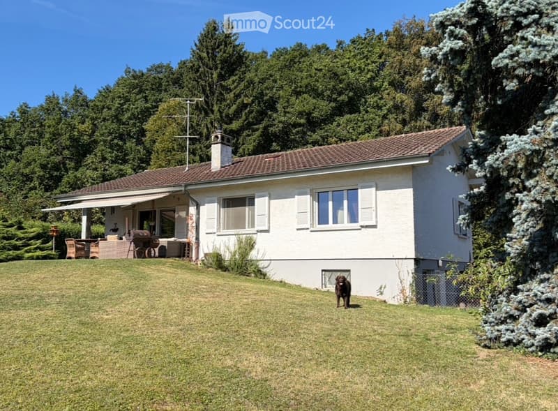 Maison individuelle à louer à Mies dès le 1er octobre (1)