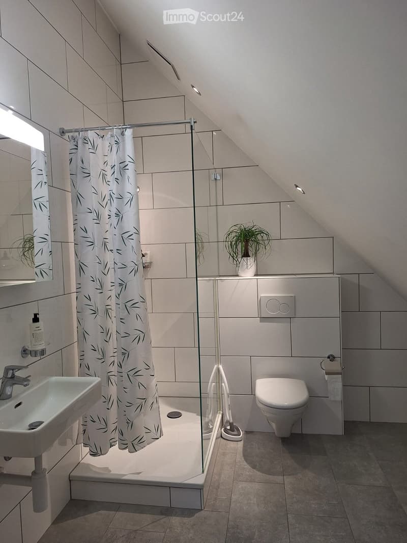 Wunderschöne 2.5-Zimmer-Dachwohnung nahe Bahnhof Dietikon (3)